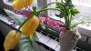 20160410_152548.jpg