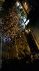 20160413_194533.jpg