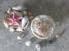 20160413_093632.jpg