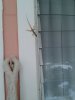 20131020_153055.jpg