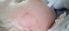 IMG_20160421_092411.jpg