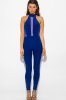 royal-blue-halter-high-neck-backless-mesh-panel-fitted-bodycon-clubbing-catsuit-jumpsuit__0.jpg