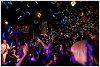 The_Adicts_2011_SO36_03.jpg