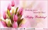happy-birthday-flowers-for-daughter-102325-pc-PXwSeE.jpg
