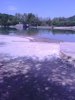 13081857_877420055702242_2138334398_n.jpg