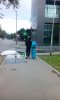 IMG_20160429_171949.jpg