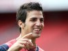 Fabregas-4-070807AFC.jpg