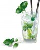 istockphoto_5230172-mojito-cocktail.jpg