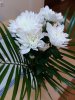 20160505_174939.jpg