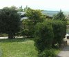 IMG_20160507_113947-1-2.jpg