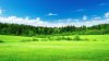 Nature01.jpg