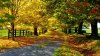 Nature06.jpg
