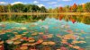 Nature08.jpg