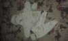 20160521_165538.jpg