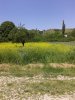 20160524_114440.jpg