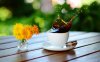 Morning-Coffee-5.jpg