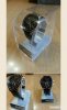 Collage 2016-06-02 19_32_51.jpg