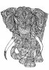 adult-coloring-pages-elephant.jpg