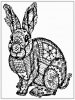 Printable Rabbit Coloring Pages For Adult www.RealisticColoringPages.com.jpg