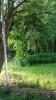 PicsArt_06-06-07.20.56.jpg