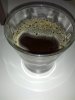 IMG_20160615_151224.jpg