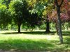 IMG_20160617_142909.jpg