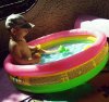 IMG_20160618_150907.jpg