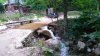 DSC_0158-320x180.JPG