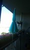 20160620_080534.jpg