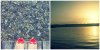 PicMonkey Collage.jpg