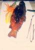PicsArt_06-22-05.52.21.jpg