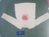 IMG_20160626_194251.jpg