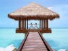 010215-exotic-workouts-594.jpg