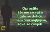 FB_IMG_1466973592469.jpg