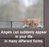FB_IMG_1466884887609.jpg