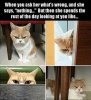 FB_IMG_1467549525471.jpg