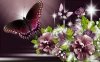 FB_IMG_1448434975767.jpg