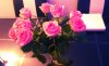IMAG2574_1.jpg