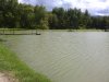 IMG_20160717_135636.jpg