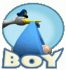 stork_delivering_its_a_boy_hg_clr.gif