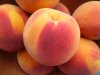Peaches.JPG