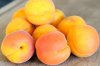 apricot_ice_cream-1.jpg