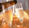 champagne[1].jpg