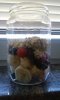 20160721_091535.jpg