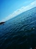 IMG_20160722_154701.jpg