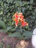 IMG_20160724_174423.jpg