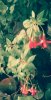 IMG_20160724_180340_536.jpg