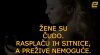 FB_IMG_1470778925222.jpg