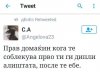 FB_IMG_1470779305517.jpg