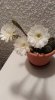 IMAG0945.jpg